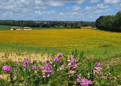 Het resort Golf de Gascogne