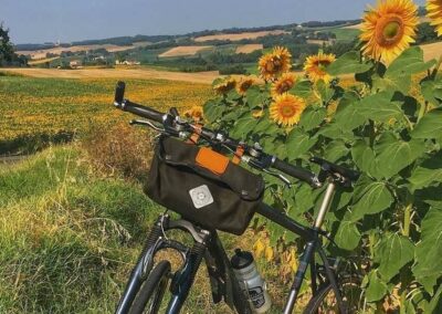 Het resort Golf de Gascogne